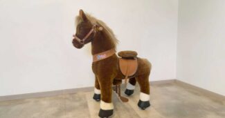 Die besten Standpferde zum Reiten