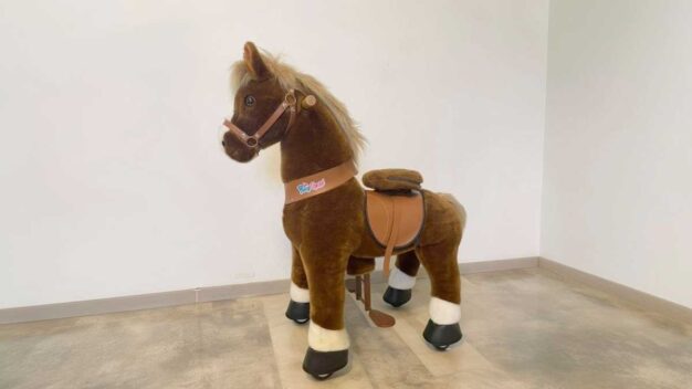Die besten Standpferde zum Reiten Die besten Standpferde zum Reiten