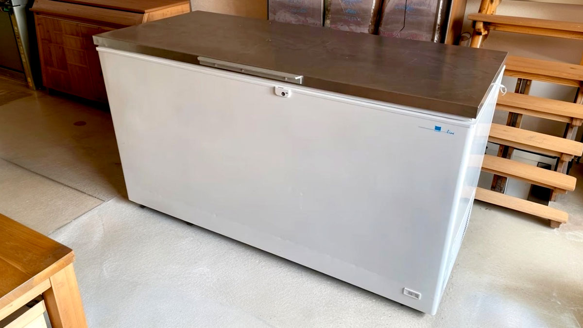 Die besten Tiefkühltruhen für Familien